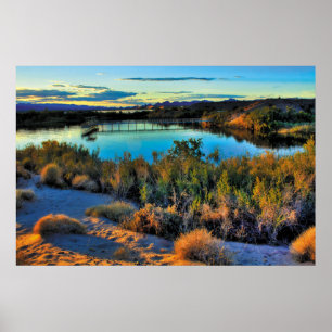 South Mesquite Bay Poster