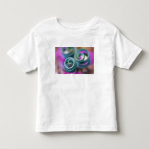 South Namaqualand, Curled lily leaves. Credit Toddler T-Shirt