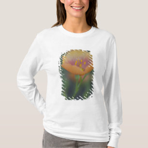 South of Devine Texas along Interstate 35 T-Shirt