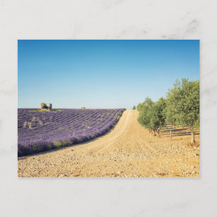 South of France Postcard