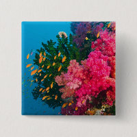 South Pacific, Fiji, Viti Levu, Bligh Water,