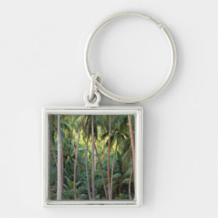 South Pacific, French Polynesia, Bora Bora. Key Ring