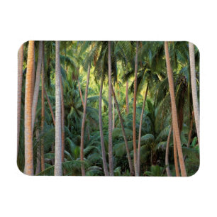 South Pacific, French Polynesia, Bora Bora. Magnet