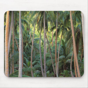 South Pacific, French Polynesia, Bora Bora. Mouse Pad