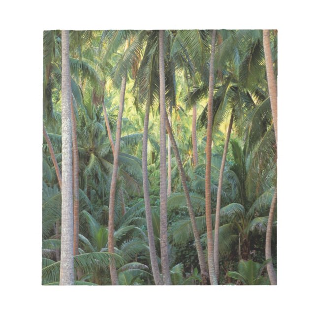 South Pacific, French Polynesia, Bora Bora. Notepad (Front)
