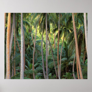 South Pacific, French Polynesia, Bora Bora. Poster