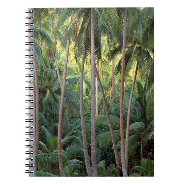 South Pacific, French Polynesia, Bora Bora. Spiral Notebook (Front)