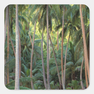 South Pacific, French Polynesia, Bora Bora. Square Sticker