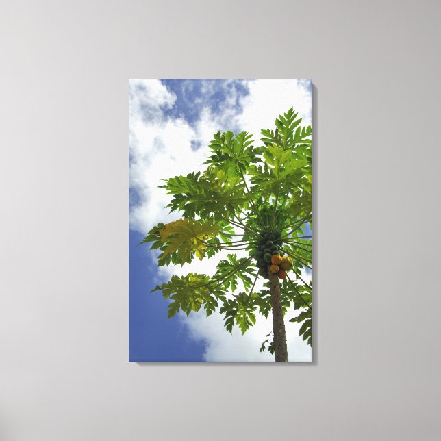 South Pacific, French Polynesia, Moorea. 2 Canvas Print (Front)