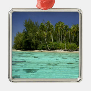 South Pacific, French Polynesia, Moorea 2 Metal Tree Decoration
