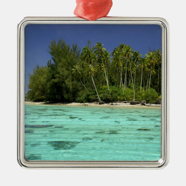 South Pacific, French Polynesia, Moorea 2 Metal Tree Decoration (Front)