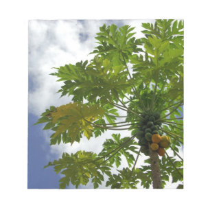 South Pacific, French Polynesia, Moorea. 2 Notepad