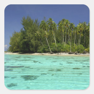 South Pacific, French Polynesia, Moorea 2 Square Sticker