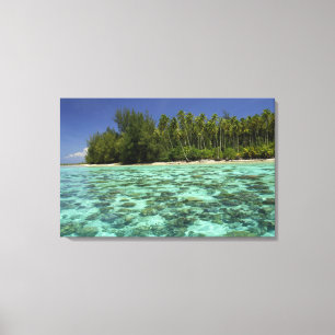 South Pacific, French Polynesia, Moorea 3 Canvas Print