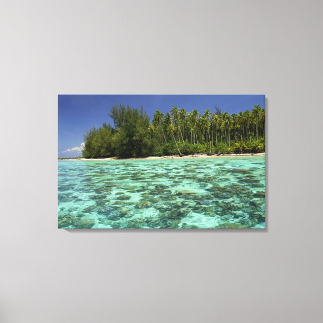 South Pacific, French Polynesia, Moorea 3 Canvas Print (Front)