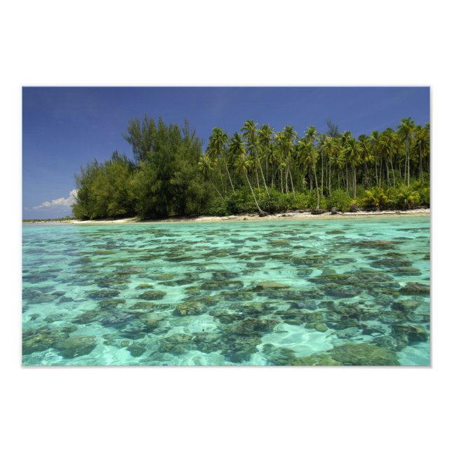 South Pacific, French Polynesia, Moorea 3 Photo Print (Front)