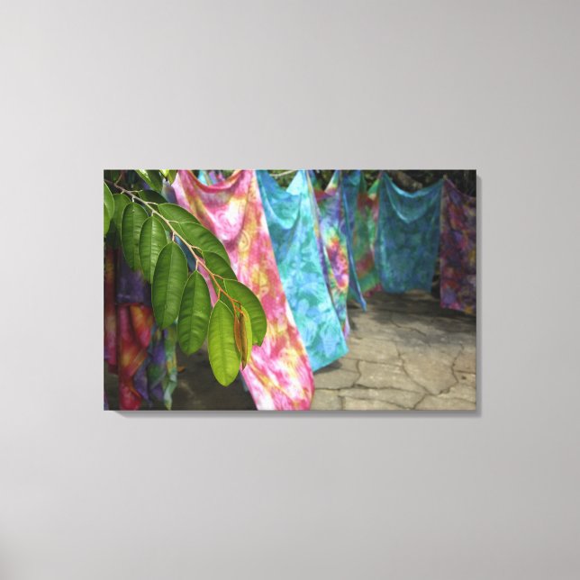 South Pacific, French Polynesia, Society Canvas Print (Front)