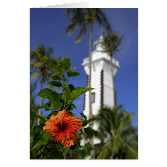 South Pacific, French Polynesia,Tahiti. Hibiscus (Front)