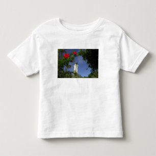 South Pacific, French Polynesia,Tahiti. Hibiscus 3 Toddler T-Shirt