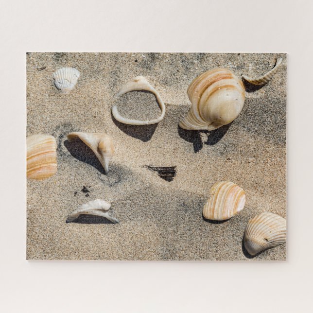 South Padre Island, Shells and Sand Jigsaw Puzzle (Horizontal)