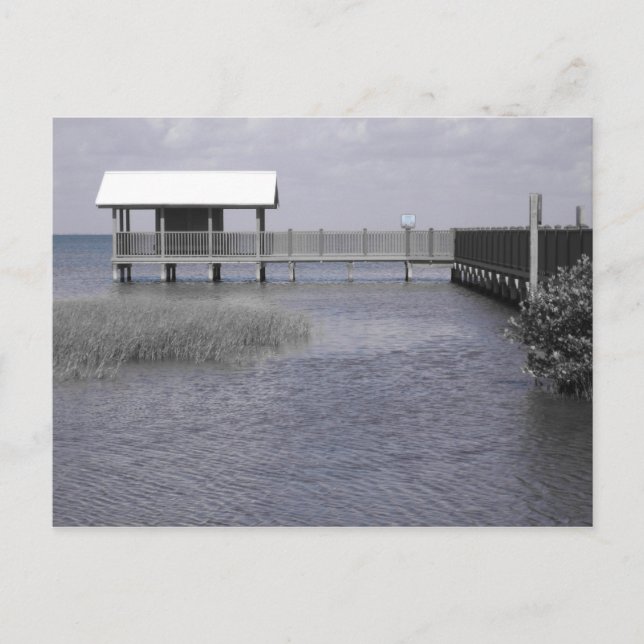 South Padre Postcard (Front)