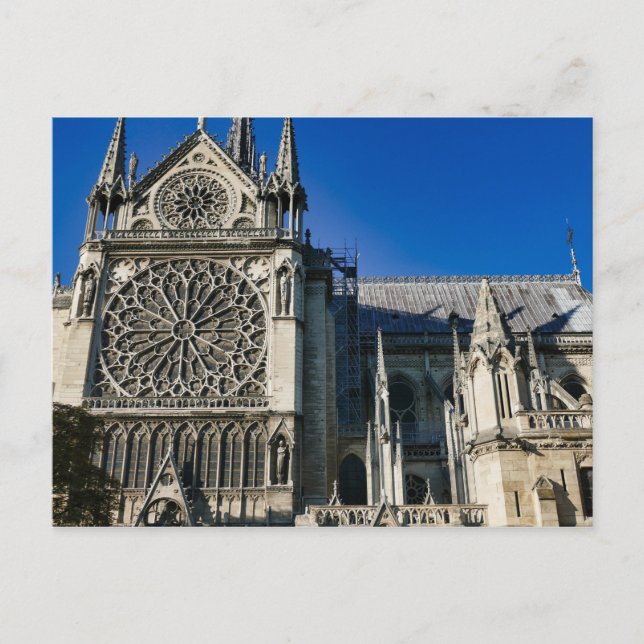South Rose Window Outside Notre Dame De Paris Postcard (Front)