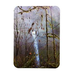 South Silver Falls Magnet