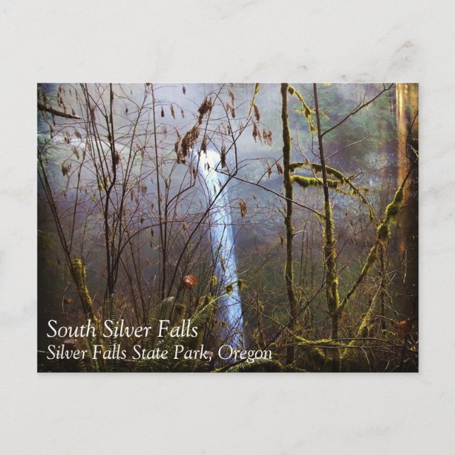 South Silver Falls, Oregon Postcard (Front)