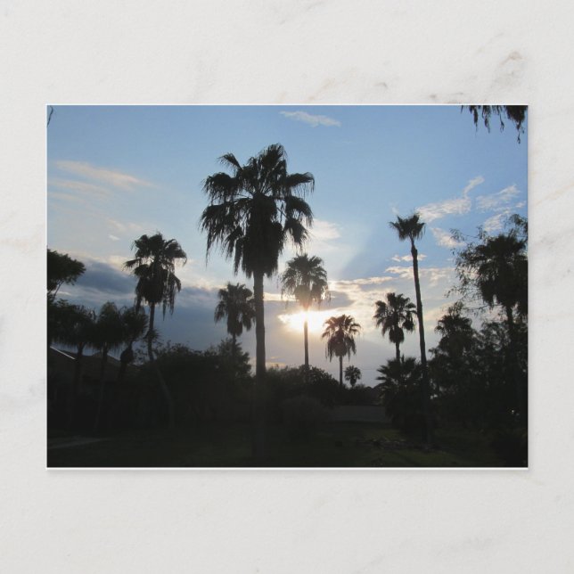 South TX postcard (Front)