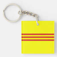 south vietnam flag