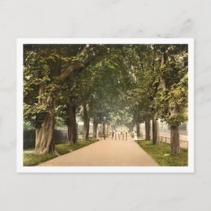 South Walk, Dorchester, Dorset, England Postcard