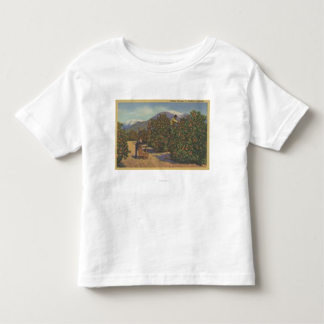Southern California - Picking Oranges Toddler T-Shirt (Front)