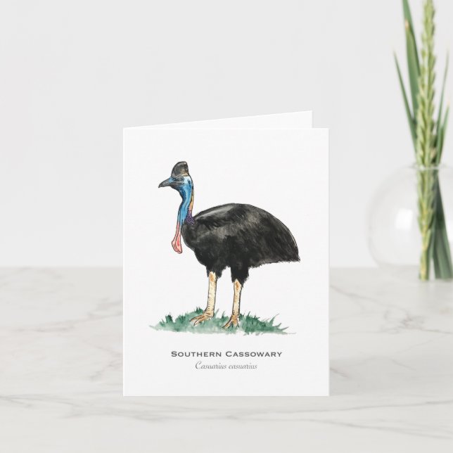Southern Cassowary Folded Note Card (Front)
