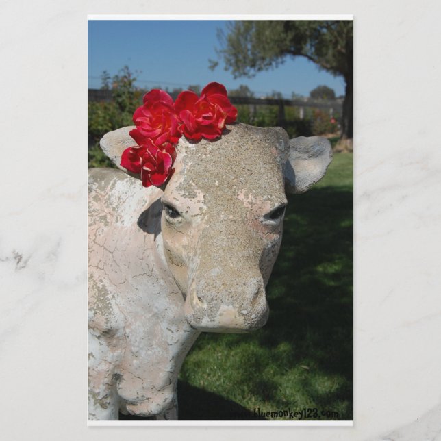 Southern Cow (Front)