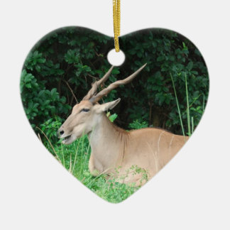 Southern Eland Habitat Ornaments