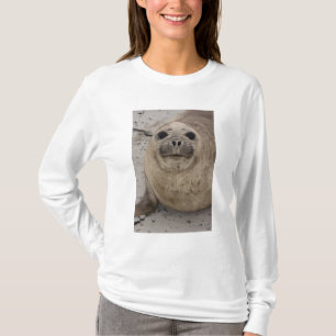 Southern Elephant Seal Mirounga leonina) T-Shirt