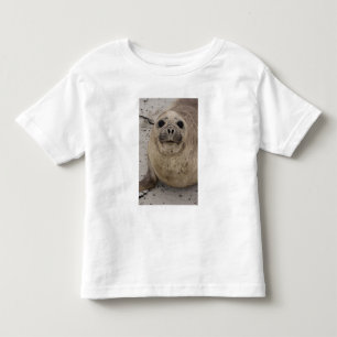 Southern Elephant Seal Mirounga leonina) Toddler T-Shirt
