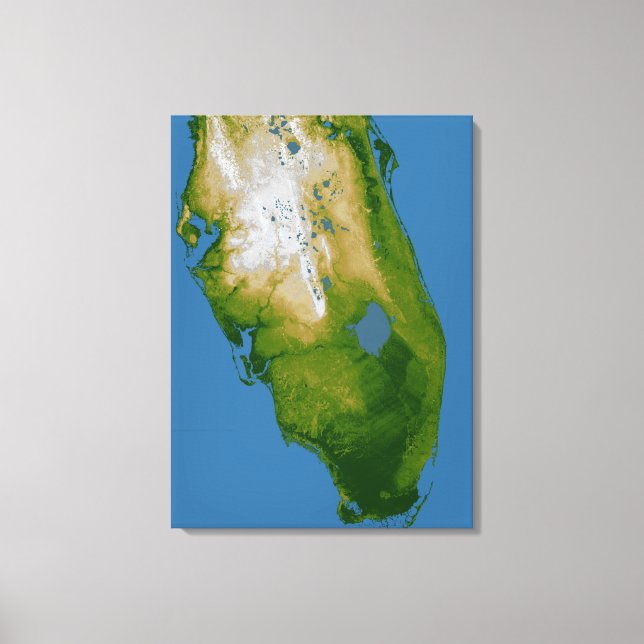 Southern Florida Canvas Print (Front)