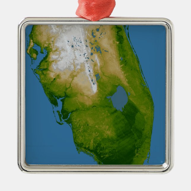Southern Florida Metal Tree Decoration (Front)