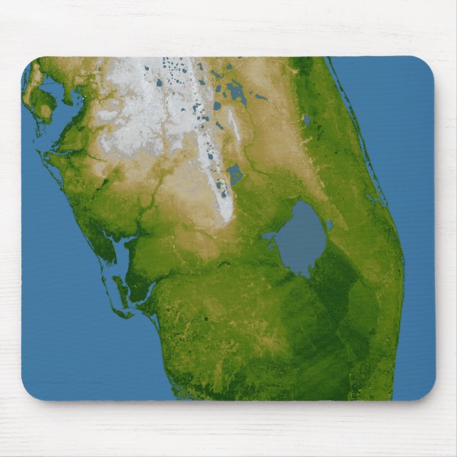 Southern Florida Mouse Pad (Front)