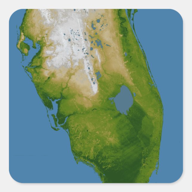 Southern Florida Square Sticker (Front)