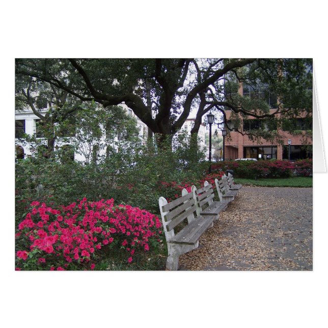 Southern Hospitality Card (Front Horizontal)