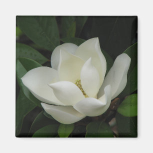 Southern Magnolia Magnet