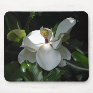 Southern Magnolia Mouse Pad