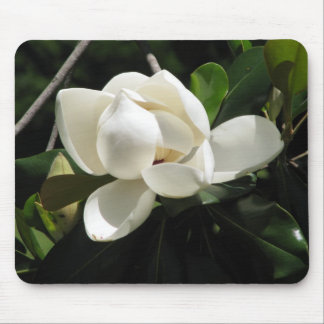 Southern Magnolia Mouse Pad