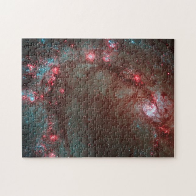 Southern Pinwheel Puzzle (Horizontal)