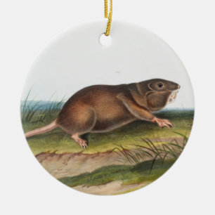 Southern Pouched Rat, Shrew Mole Illustration Ceramic Tree Decoration