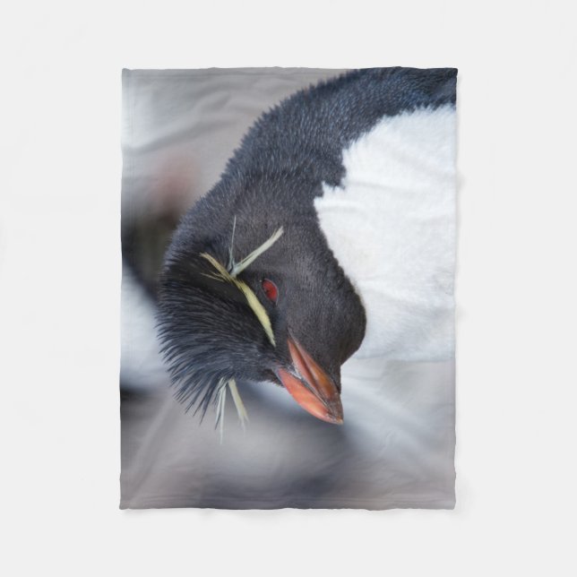 Southern Rockhopper Penguin Fleece Blanket (Front)
