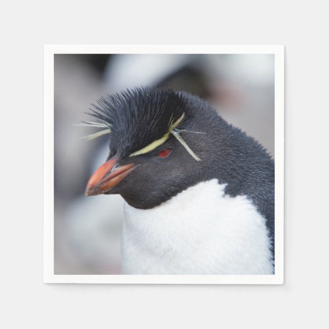 Southern Rockhopper Penguin Napkin (Front)