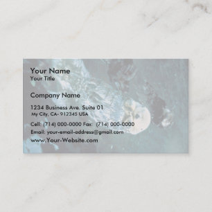 Southern Sea Otters Business Card